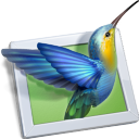 Application Image + File Type icon design for PicturesToExe