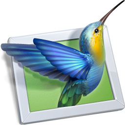Application Logo design + File Type icon design for PicturesToExe