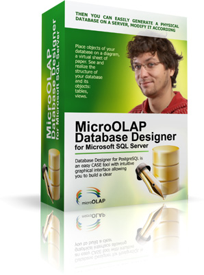 MicroOLAP Database Designer