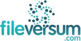 Logo Design for FileVersum