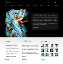Дизайн сайта для Femida.us